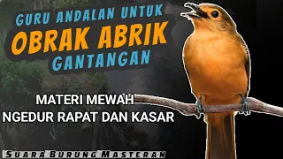 GURU ANDALAN | MATERI MEWAH! BURUNG TEMBAKAN RAPAT DAN KASAR MASTERAN BURUNG LOMBA