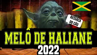 Melô De Haliane 2022 | Reggae Remix - Dj Mister Foxx