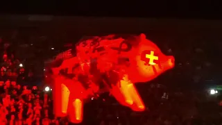Roger Waters medley Dogs + Pigs, live in Milan 2018