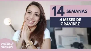 14 SEMANAS DE GRAVIDEZ  - Décima quarta semana de gestação