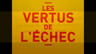 LES VERTUS DE L'ECHEC, de Charles Pépin