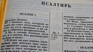 Библия. Псалтирь 1-150 псалом.  Ветхий Завет (Читает Ярл Пейсти)