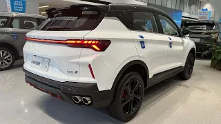 2023 Geely Coolray - Visual Experience