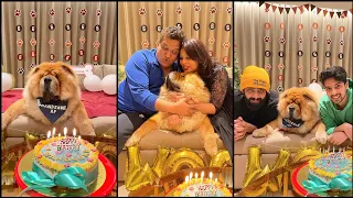 Malik Family Celebrate Handsome Malik Birthday || Armaan • Amaal • Daboo • Jyothi || SLV2021