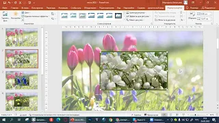 Урок 2. PowerPoint - как заменить цвет контура картинки