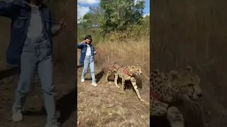 Indian Idol winner Sourabhee Debbarma with TIGER