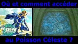 Zelda Tears of the Kingdom - Où trouver et comment accéder au Poisson Céleste Zora ?