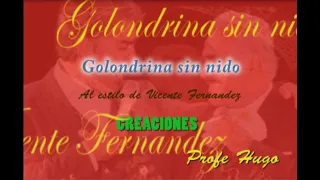 Vicente Fernandez  Golondrina sin nido Karaoke