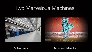 Biomolecular Action Movies: Flash Imaging with X-ray Lasers