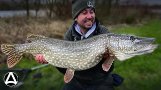 Episode 9 . Big Pike fishing (with dead baits)