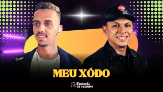 Meu Xodó - Sensação De Vaqueiro (Ao Vivo)