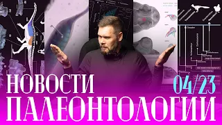 Динозавру измерили температуру | Илистые прыгуны моргают | Туллимонстр - не позвоночное