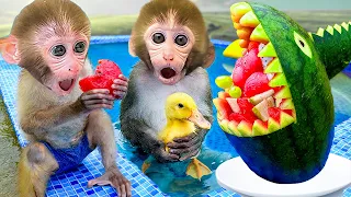 Baby Monkey Got Lost in the Water Park | The Challenge Was to Slide Down the Surfboard into the Pool