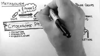 Pharmacokinetics 4 - Metabolism