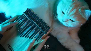 lovely, Billie Eilish - Kalimba cover.