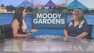 Moody Gardens in Galveston has lots of activities to enjoy this summer