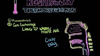 thermoregulation