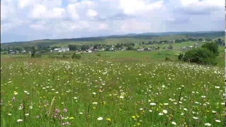 Свекруха  Українська пісня  Ukrainian song