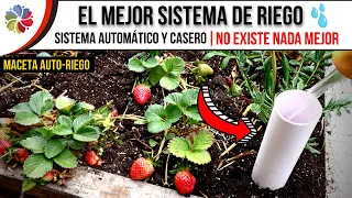 💧🌱 El MEJOR SISTEMA de RIEGO que EXISTE y SIN TEMOR a EQUIVOCARME - MACETA AUTORIEGO PASO a PASO.