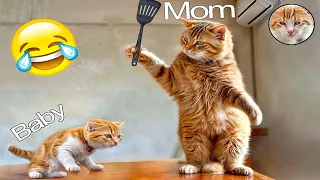 CLASSIC Dog and Cat Videos😻🐈1 HOURS of FUNNY Clips🤣