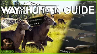 The ULTIMATE Day 1 Guide To Getting Started In Way Of The Hunter!