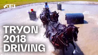 Boyd Exell out of this league! | Driving Highlights - Icons of Tryon | FEI ICONS