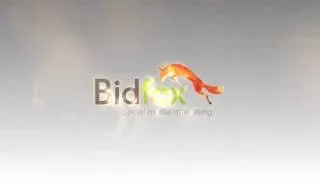 Инструкция по сайту BidFox