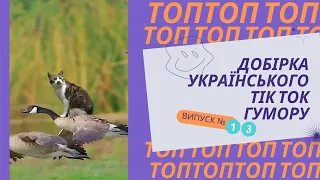 Топ добірка українського Тік Ток гумору випуск №13 ЗСУ, меми, жарти та приколи