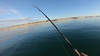 December Bass mayhem in Brighton