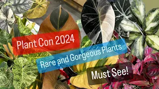 Plant Con 2024 Rare Plants Houston Texas NRG Convention Center Plant Shopping