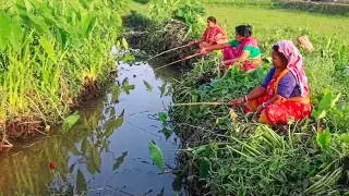 Fishing Video || The beautiful village ladies is fishing in canal with use food || Fish hunting