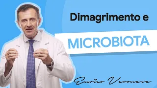 Dimagrimento, microbiota e integratori probiotici - Dottor Enrico Veronese