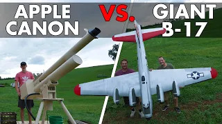 Giant B-17 bomber takes fire from a massive Apple Cannon!!