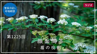 第1225回「顔面問答 – 眉の役割 –」2024/5/15【毎日の管長日記と呼吸瞑想】｜ 臨済宗円覚寺派管長 横田南嶺老師