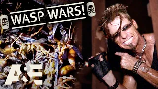 Billy the Exterminator: WASP WARS! - Top 3 Moments | A&E