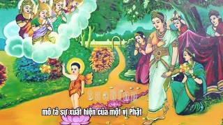 Học phật mỗi ngày