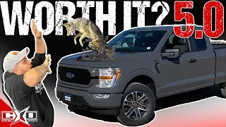 Is a 5.0L Ford F150 Worth It?