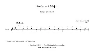 Violin : Study for Finger Placement for beginners