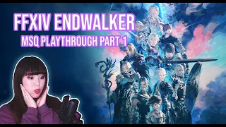 Final Fantasy XIV Endwalker MSQ Playthrough Part 1 Level 80