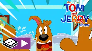 A Tom & Jerry Show | Rejtély Párizsban | Cartoonito