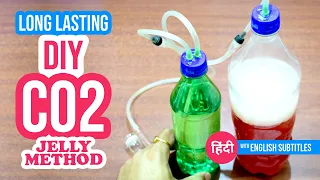 Long Lasting DIY CO2 System for Planted Aquarium | Jelly Method