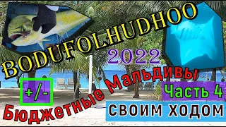 Бюджетные Мальдивы. Часть 4. Своим ходом! Остров Bodufolhudhoo, Male. Итоги отдыха!