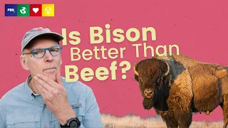 Can Meat Ever Be GOOD For The Planet? | Bison vs Beef vs Plants