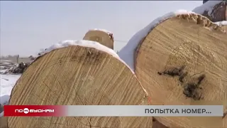 "Ценный выбор": эксперимент по отслеживанию оборота леса запускают в Иркутской области