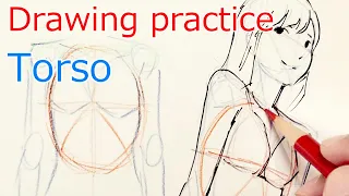 胴体のワイヤーを描く練習 : Drawing Practice Torso