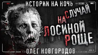 СЛУЧАЙ НА ЛОСИНОЙ РОЩЕ. Страшные истории на ночь. Опольцево. Петля