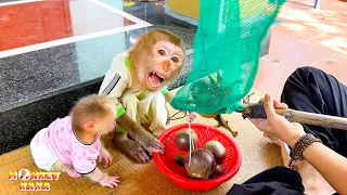 Monkey Kaka and Monkey Mit enjoy fruit in their mom's hometown