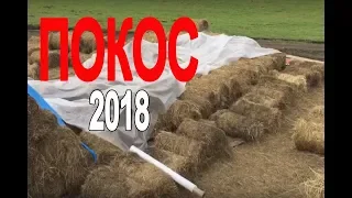 Покос 2018 (часть 1 из ...)