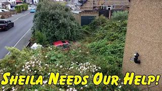 We CLEARED 22 Tonne Bags From This Garden To FIND.. *Sheila Part 4*