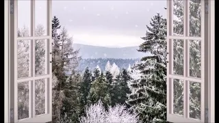 Winter Window Snow Scene (1-Hour Screensaver)